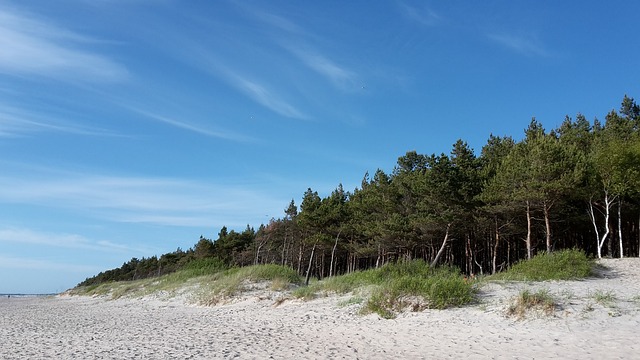 海 海滩 波罗的海 - 上的免费照片