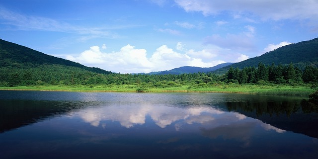 景观 湖 湾 - 上的免费照片