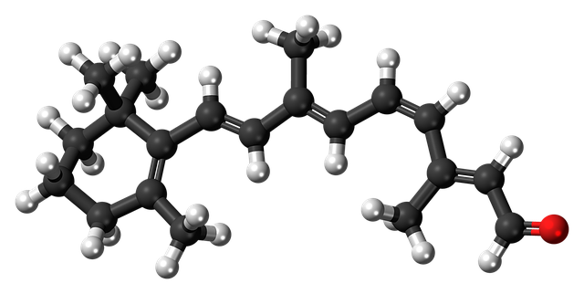 视网膜 顺式 3D - 上的免费图片