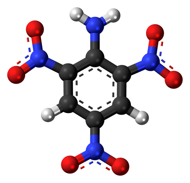 三硝基苯胺 爆炸性的 苦味酰胺 - 上的免费图片