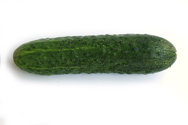 黄瓜 绿色 蔬菜 - 上的免费照片