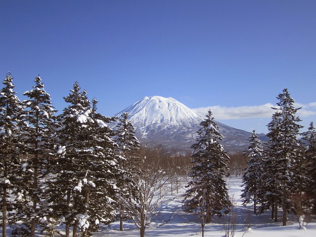 羊蹄山 二世古 日本 - 上的免费照片