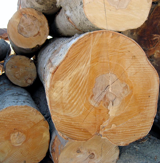 日志 木头 木材 - 上的免费照片