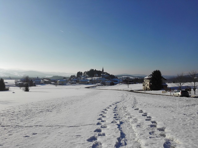 冬天 雪 景观 - 上的免费照片