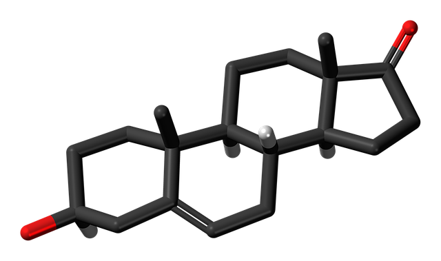 脱氢表雄酮 雄甾烯酮 化学 - 上的免费图片