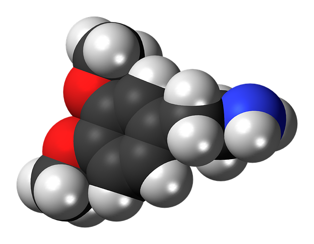 二甲氧基苯乙胺 多巴胺 分子 - 上的免费图片