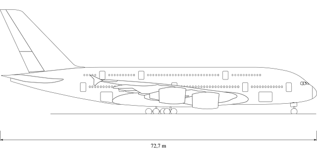 空客A380 外形 侧面图 - 免费矢量图形