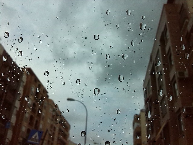 雨 滴 城市 - 上的免费照片