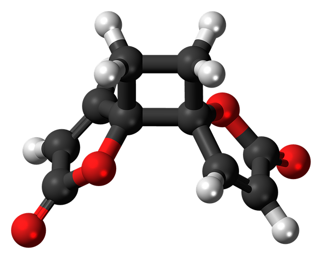 海葵素 分子 模型 - 上的免费图片