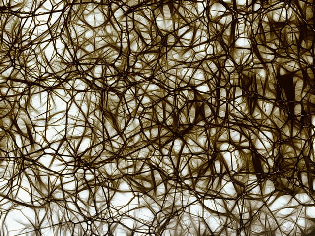 神经元 脑细胞 模仿 - 上的免费图片