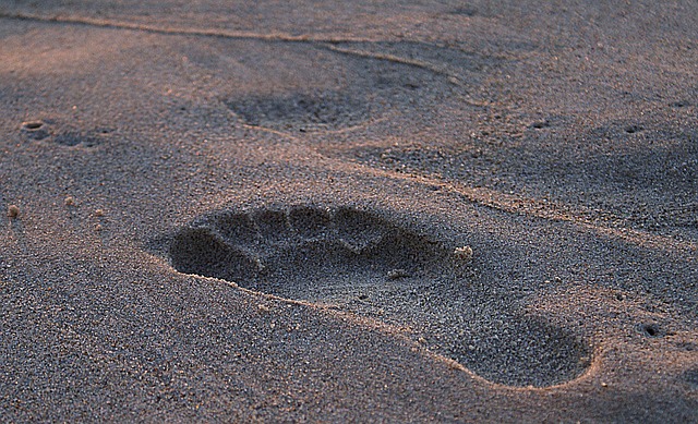 占地面积 脚印 在沙子的脚印 - 上的免费照片