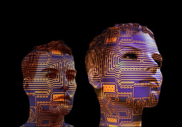 人体模型 电路板 脸 - 上的免费图片
