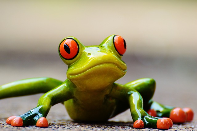 青蛙 乐趣 数字 - 上的免费照片