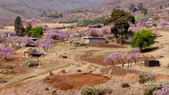 莱索托 山村 桃花源 - 上的免费照片