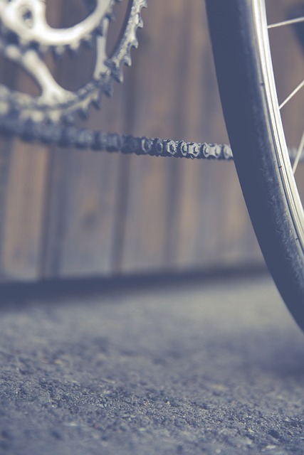 公路自行车 车轮 自行车 - 上的免费照片