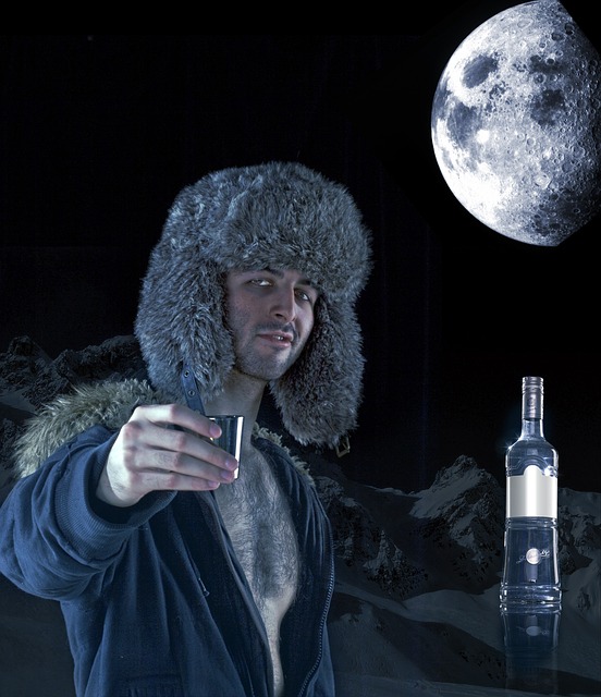 伏特加 广告 酒精 - 上的免费照片