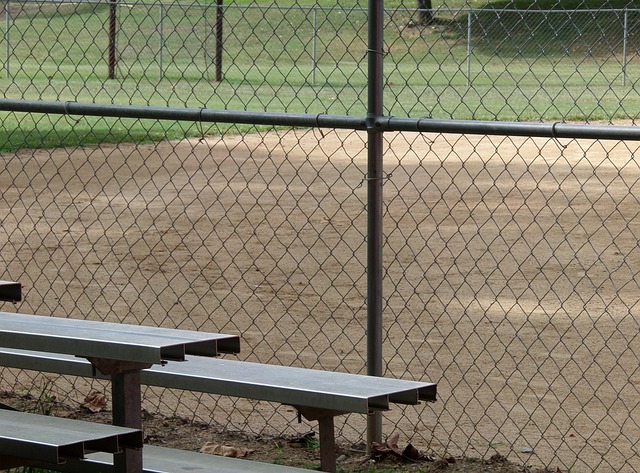 栅栏 棒球 棒球场 - 上的免费照片
