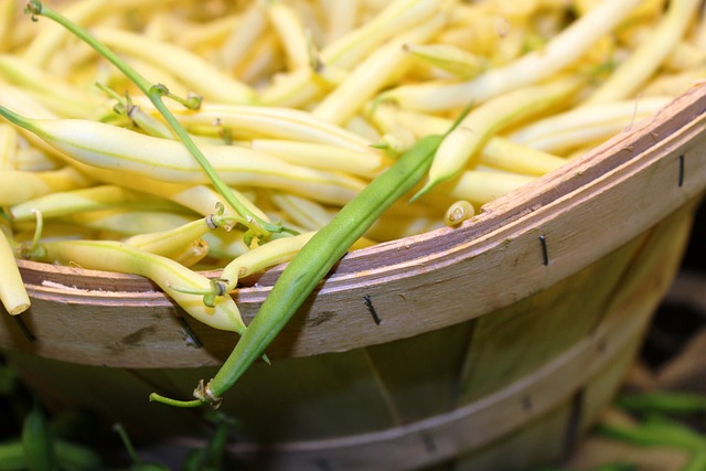 青豆 蜡豆 黄色 - 上的免费照片