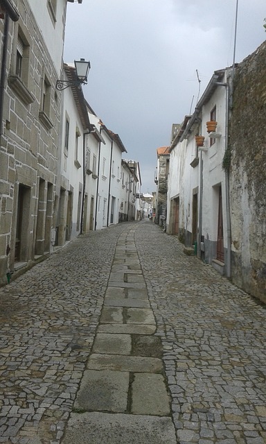 葡萄牙 米兰达－德尔杜罗 街道 - 上的免费照片