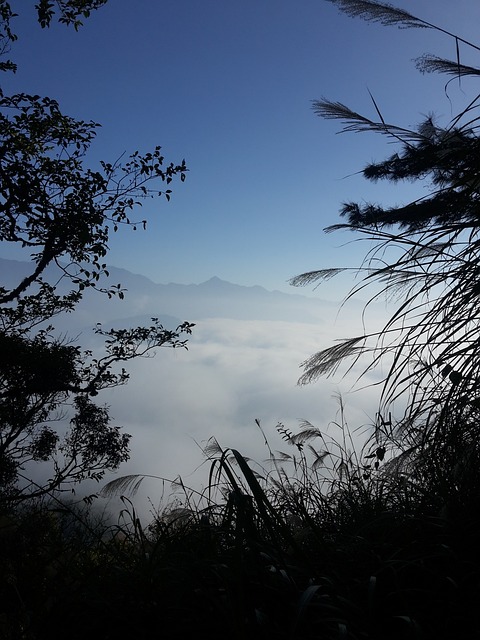 美景 樹 登山 - 上的免费照片