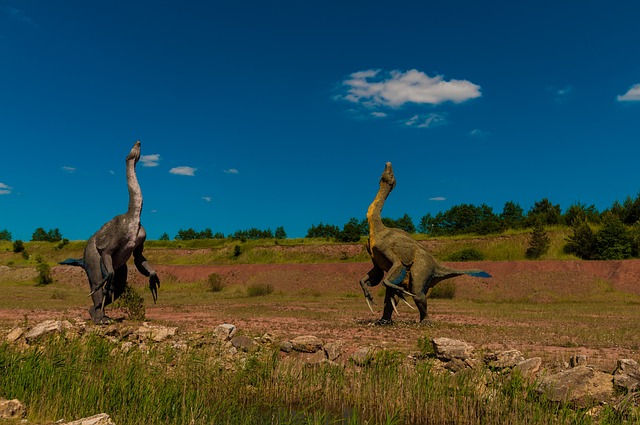 恐龙 加德 哺乳动物 - 上的免费照片