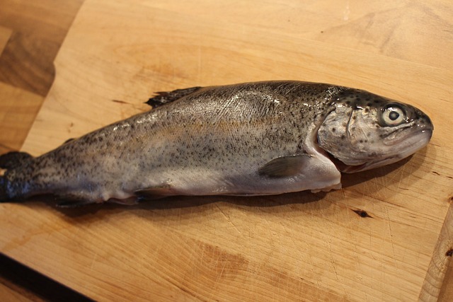 鱼 鳟鱼 木板 - 上的免费照片