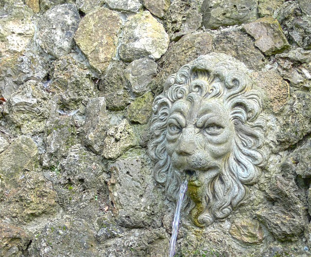 狮子头 喷泉 来源 - 上的免费照片