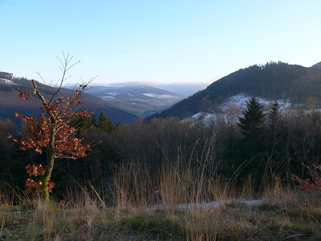 Sauerland 山 雪 - 上的免费照片