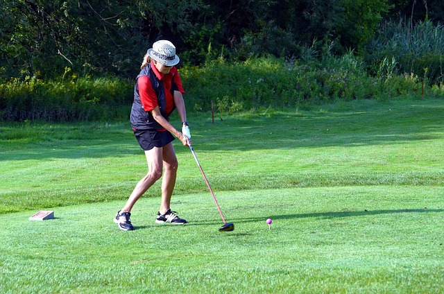 高尔夫球手 打高尔夫球 高尔夫挥杆 - 上的免费照片