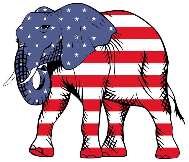 大象 美国 美国人 - 上的免费图片