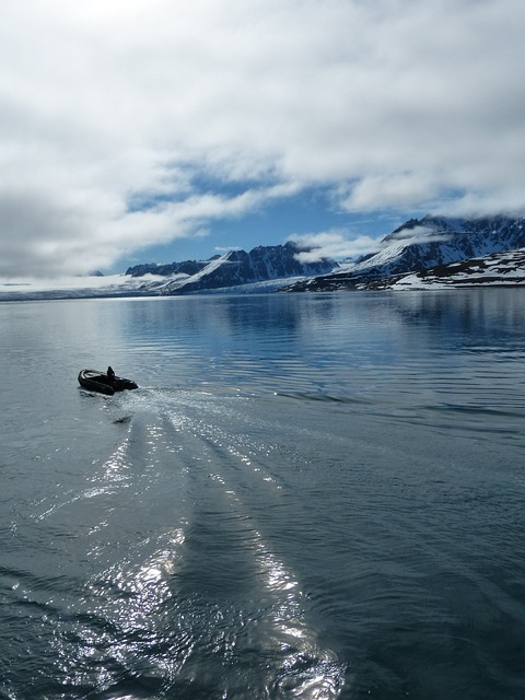 斯匹次卑尔根 北极生肖 寒冷的 - 上的免费照片