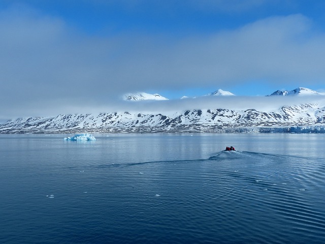 斯匹次卑尔根 生肖 北极 - 上的免费照片