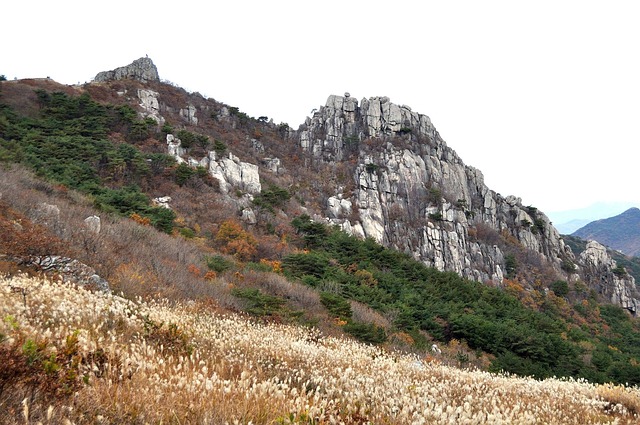 金井山 山 秋季 - 上的免费照片