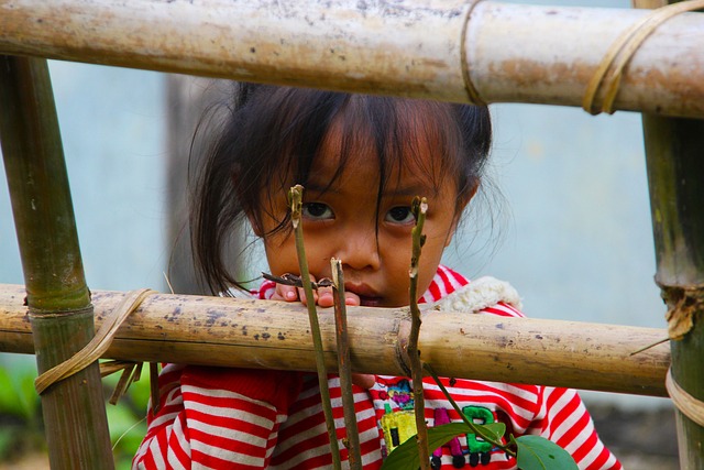 老挝 女童 凝视 - 上的免费照片