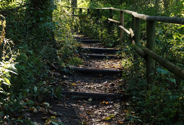 远足 小路 级别 - 上的免费照片