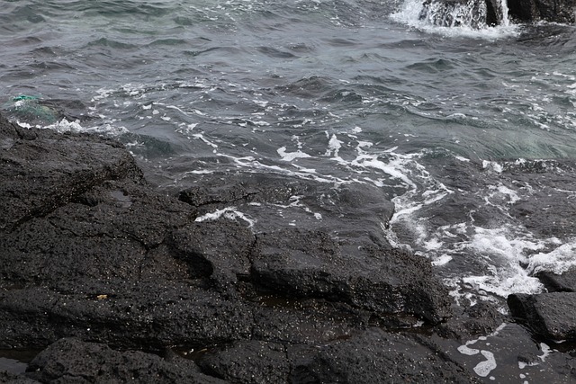 海洋 玄武岩 济州岛 - 上的免费照片