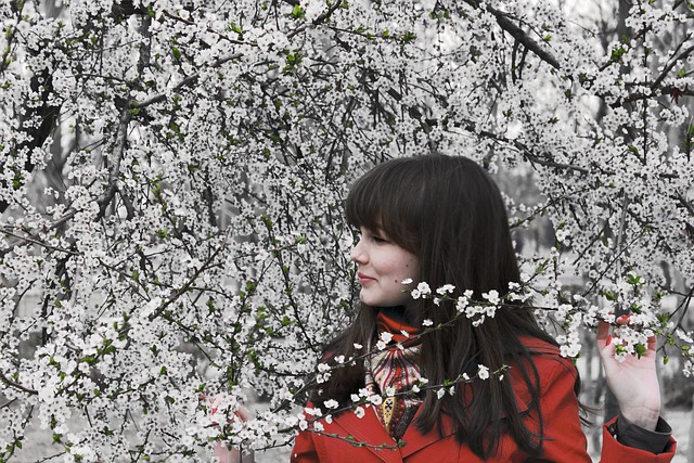 春天 花朵 樱桃 - 上的免费照片