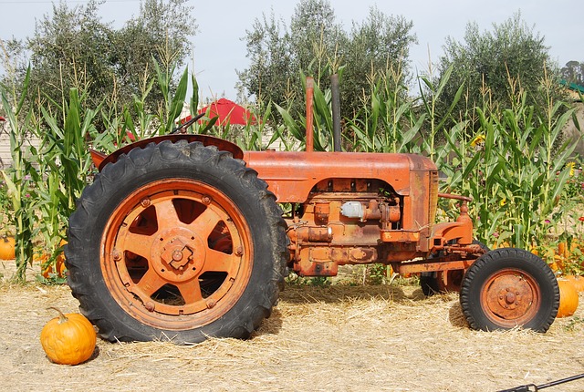 拖拉机 旧拖拉机 农具 - 上的免费照片