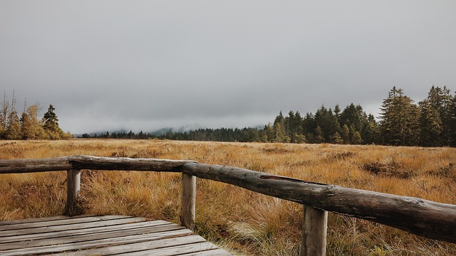 泊 哈茨山 小路 - 上的免费照片