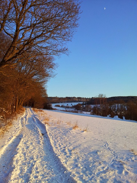 冬天 雪 Westerwald - 上的免费照片