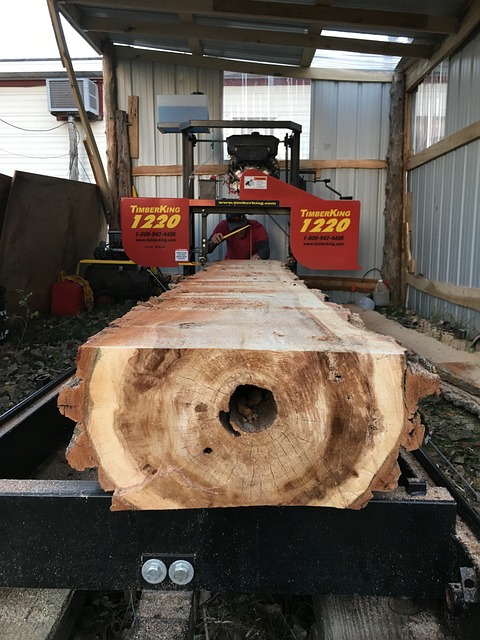 锯木厂 日志 木材切割 - 上的免费照片