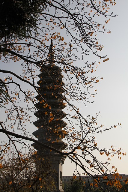 南普陀寺 小清新 - 上的免费照片