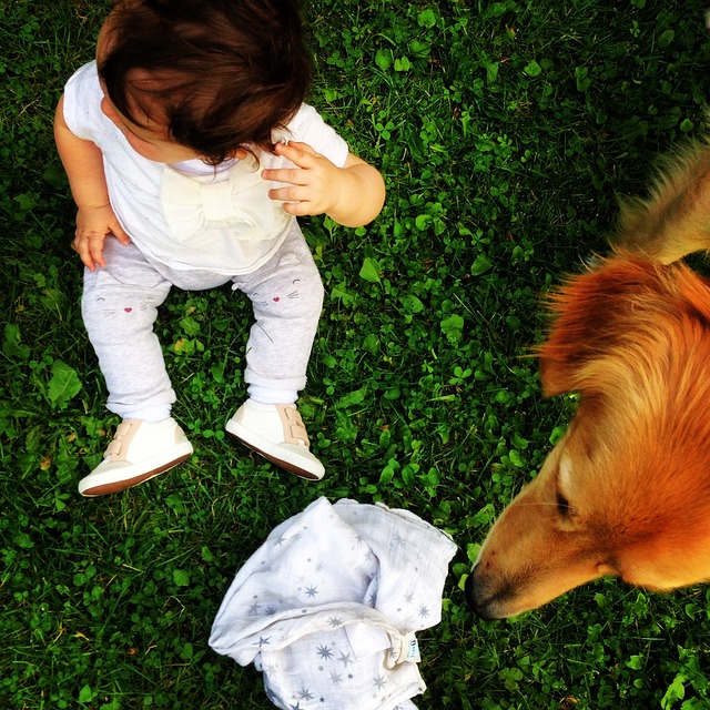 儿童 狗 草 - 上的免费照片