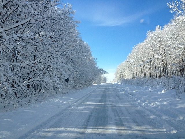 路 雪 白色的 - 上的免费照片