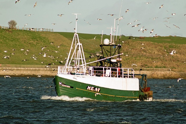 拖网渔船 钓鱼 泰恩茅斯 - 上的免费照片