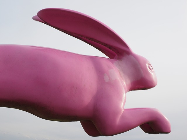 兔子 飞跃 兔子跳 - 上的免费照片