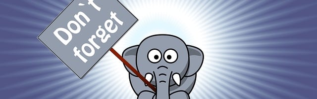 大象 树干 符号 - 上的免费图片