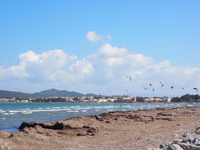 风筝冲浪者 运动的 海 - 上的免费照片