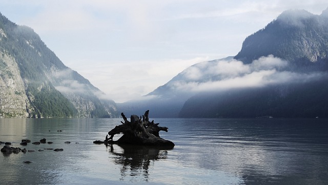 K?nigssee 高山湖泊 Bartholom? St - 上的免费照片