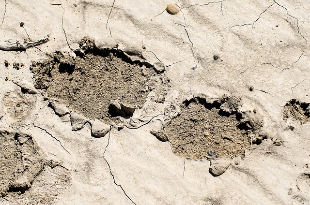 泥里的脚印 泥泞的脚印 干泥 - 上的免费照片